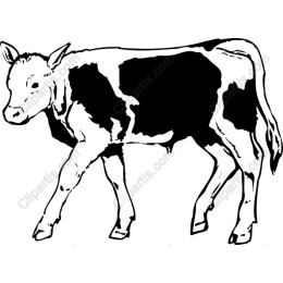 Charming Cow