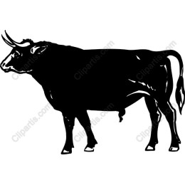 Bull