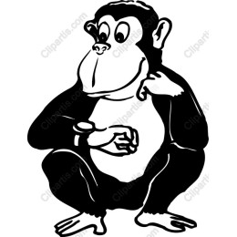 Playful Monkey Looking at Watch