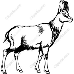 Majestic Goat