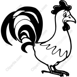 Charming Rooster