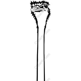 Ostrich Line Art