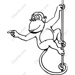 Playful Monkey