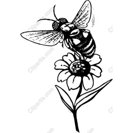 Bee and Flower