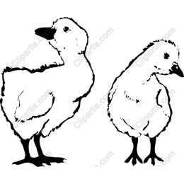 Charming Duckling Set