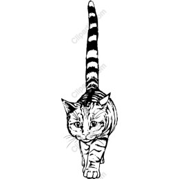 Vintage Cat Sketch