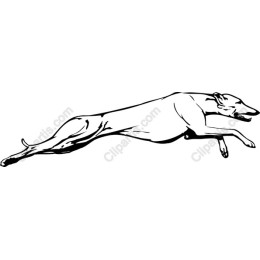Leaping Greyhound