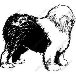Old English Sheepdog