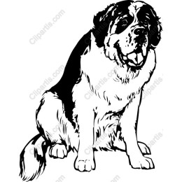 St. Bernard for Creative Projects