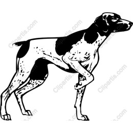 Graceful Hunting Dog