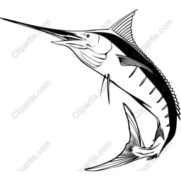 Elegant Marlin