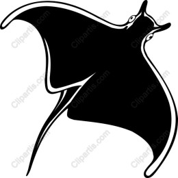 Manta Ray