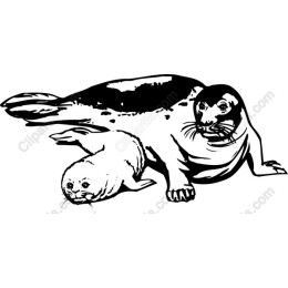 Whimsical Seal Family