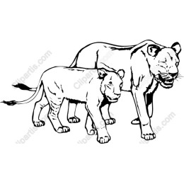 Majestic Lioness and Cub