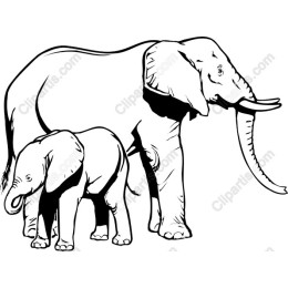 Elephant Family - and Files Available