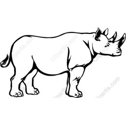 Majestic Rhinoceros