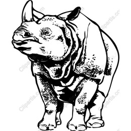 Majestic Rhinoceros