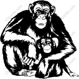 Chimpanzee Family Love
