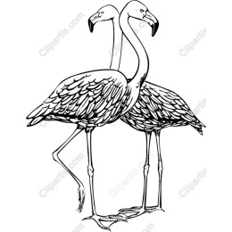 Flamingo Pair