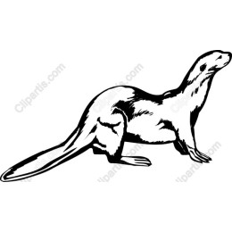 Playful Otter