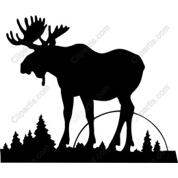 Majestic Moose