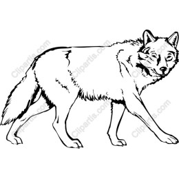Majestic Wolf