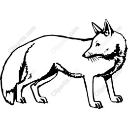 Elegant Fox