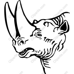 Rhino