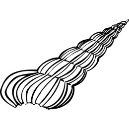 Twisted Shell