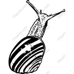Charming Snail - Black & White