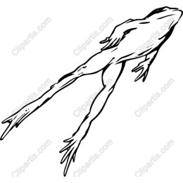 Leaping Frog