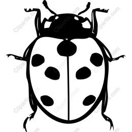 Ladybug - Nature's Good Luck Charm