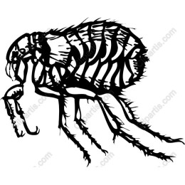 Flea - Intricate and