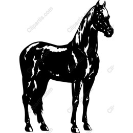 Black Horse
