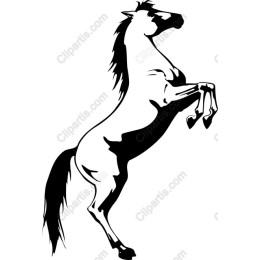 Elegant Rearing Horse