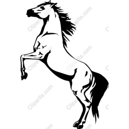 Majestic Rearing Horse