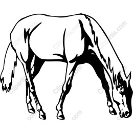 Grazing Horse