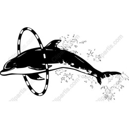 Playful Dolphin