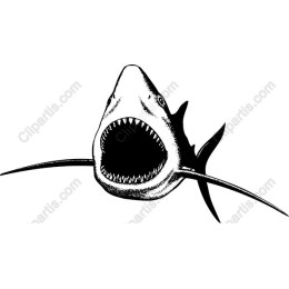 Fierce Shark