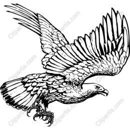 Majestic Eagle