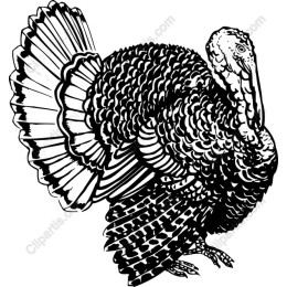 Vintage Turkey
