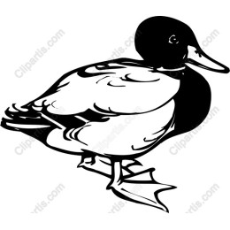 Stylized Duck