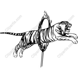 Tiger Leap Through Fire