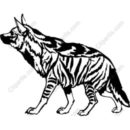 Wolf-Tiger Hybrid