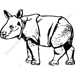 Rhinoceros