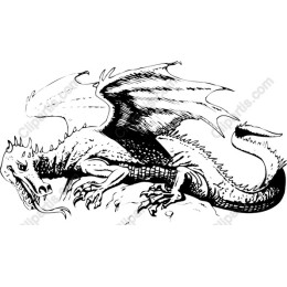 Majestic Dragon
