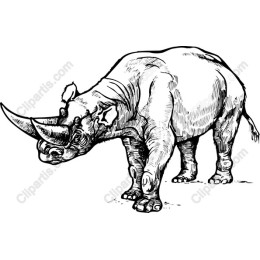 Black Rhino Hand-Drawn
