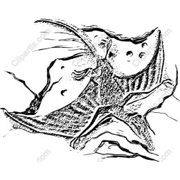 Manta Ray - Ocean Elegance