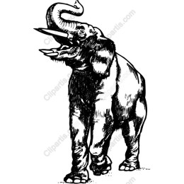 Majestic Elephant