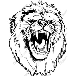 Majestic Lion Head